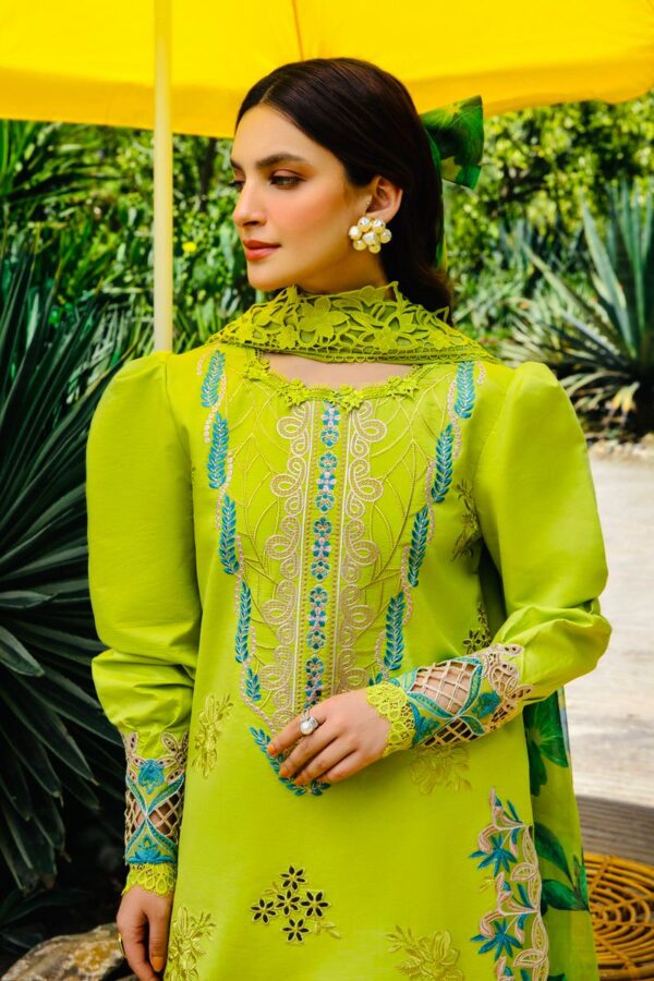 RANGRASIYA 3Pcs Summer Eid Collection