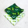 Orient Original Printed Lawn 2-Piece Collection – Independence Day Edition