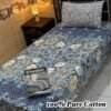 100% Pure Cotton Single Bedsheet Set – 4 Piece